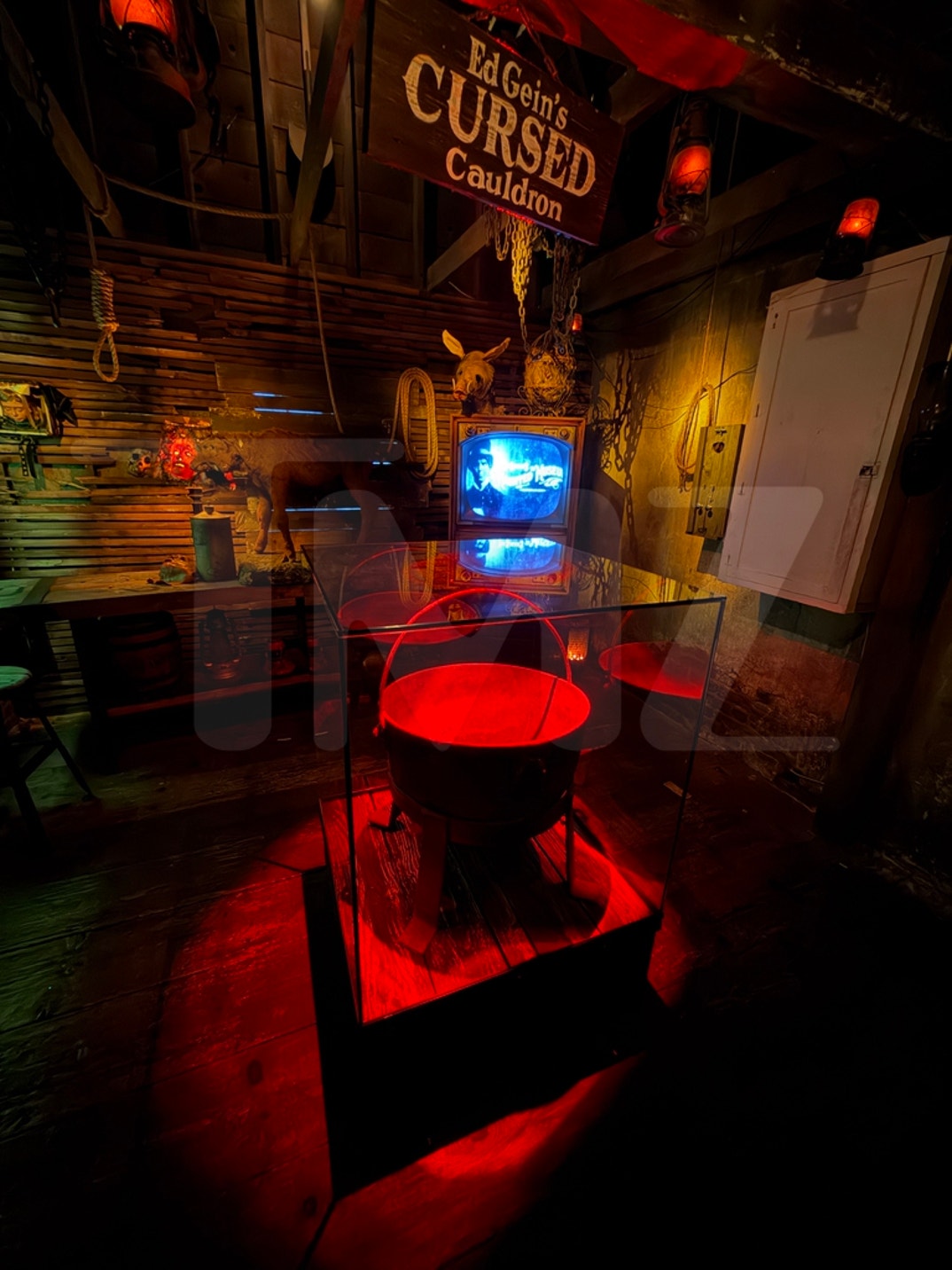 The Haunted Museum Cauldron Photos 7